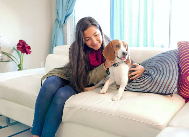 Why Hire a Professional Pet Sitter?