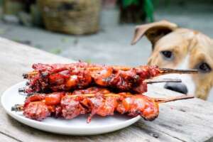 Dog Raw Meat